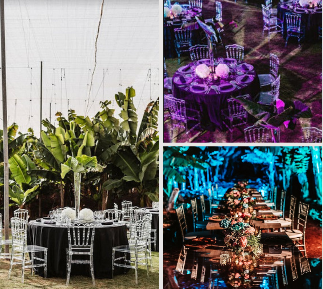 CMAE Conference gala dinner to take place at Tenerifes most prestigious banana plantations